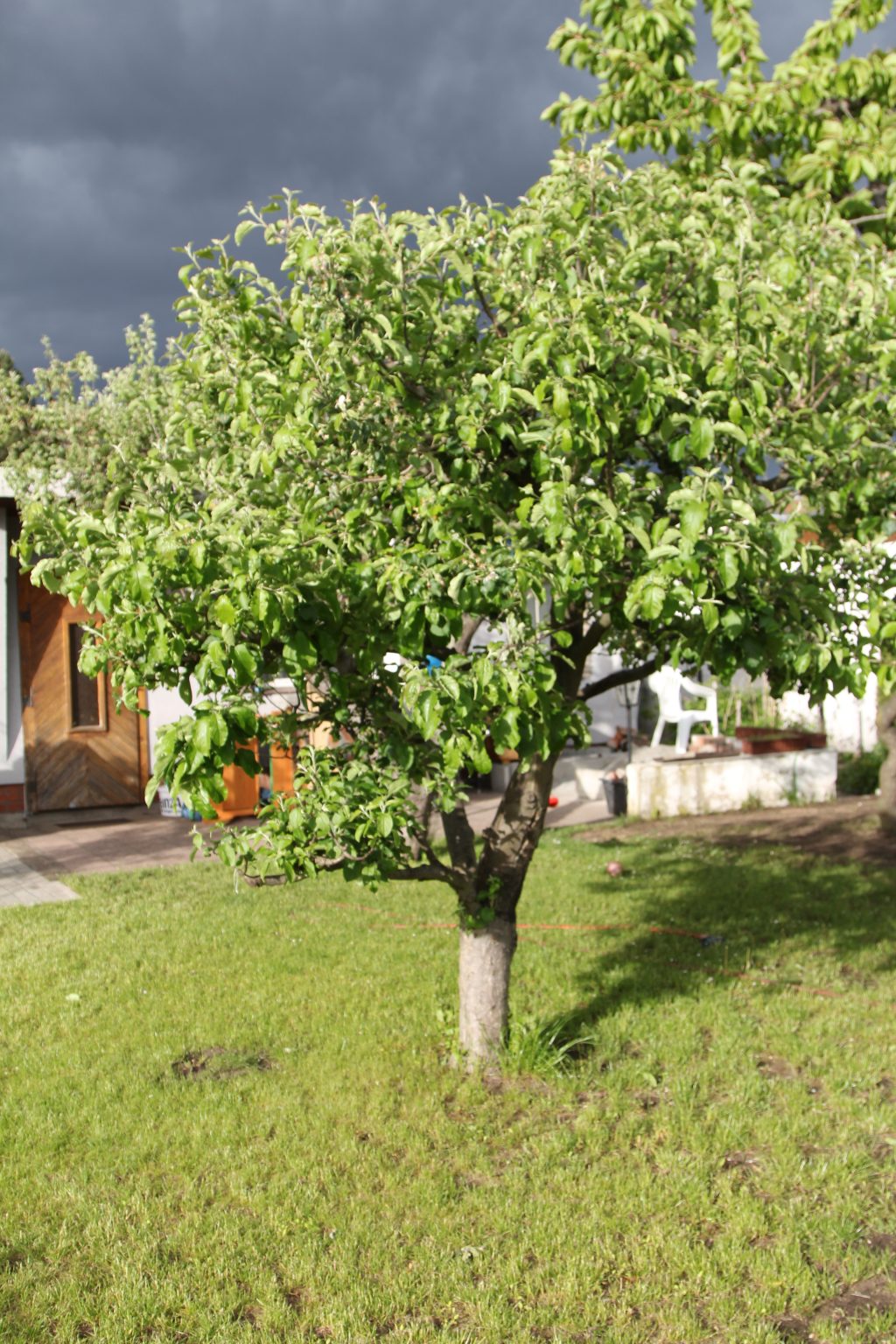 Automatisierung im eigenen Garten | PHOENIX CONTACT