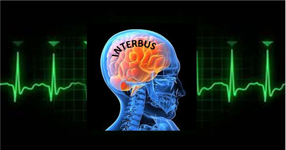 Interbus-Brain